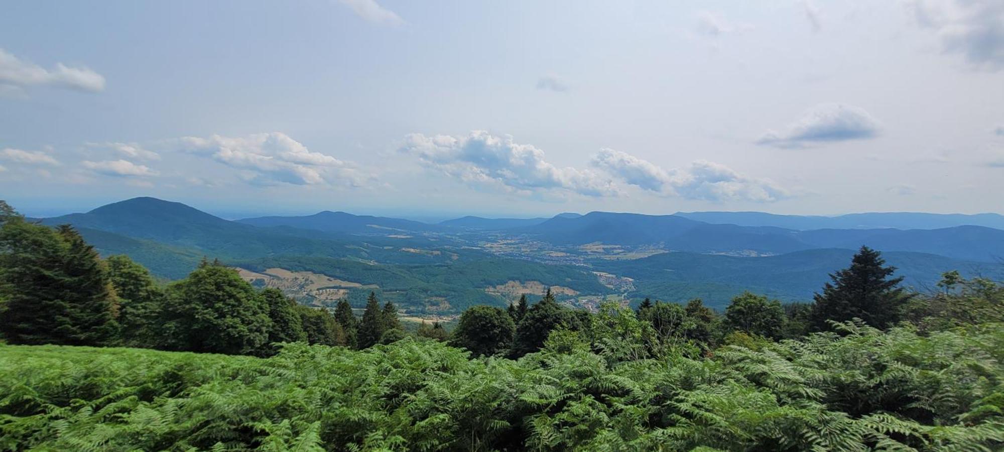 Auberge La Tete En L'Air เลอโอห์วาลด์ ภายนอก รูปภาพ
